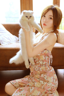 河北梆子龙江颂